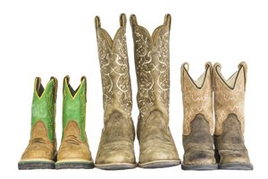 Read the Silver Linings article, Elko’s Annual Boost: National Poetry Gathering Promotes Economic Development.