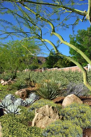 ASCAYA is quickly becoming known as one of the Western United States’ top destinations for Desert Contemporary architecture.