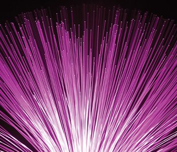 Telecommunications providers in Nevada find themselves spinning in a virtual cycle.