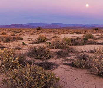 Protecting counties from restrictive federal land policies, potentially transferring U.S. government-owned land to the state, creating state parks.
