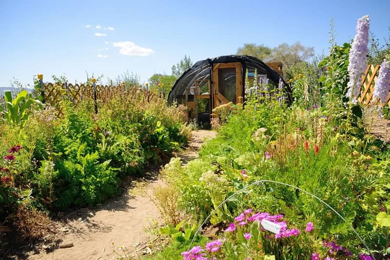 The Reno/Sparks Association of REALTORS® (RSAR) has announced that the “Biggest Little Pollinator Garden” by Nevada Bugs and Butterflies
