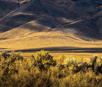 In this 11th edition of comparing Nevada to other states, statistics show that Nevada has almost fully recovered from the recession.