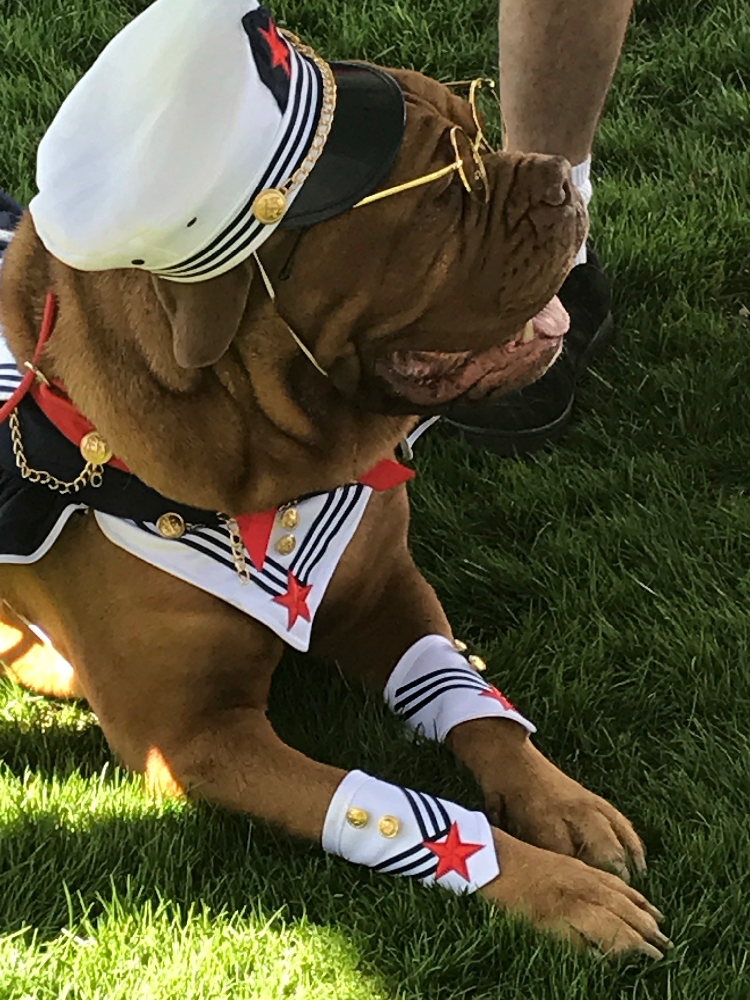 The Family, Fur & Fun Festival raised more than $12,000 for animal shelters and rescues in Southern Nevada.The annual event, held at Exploration Park.