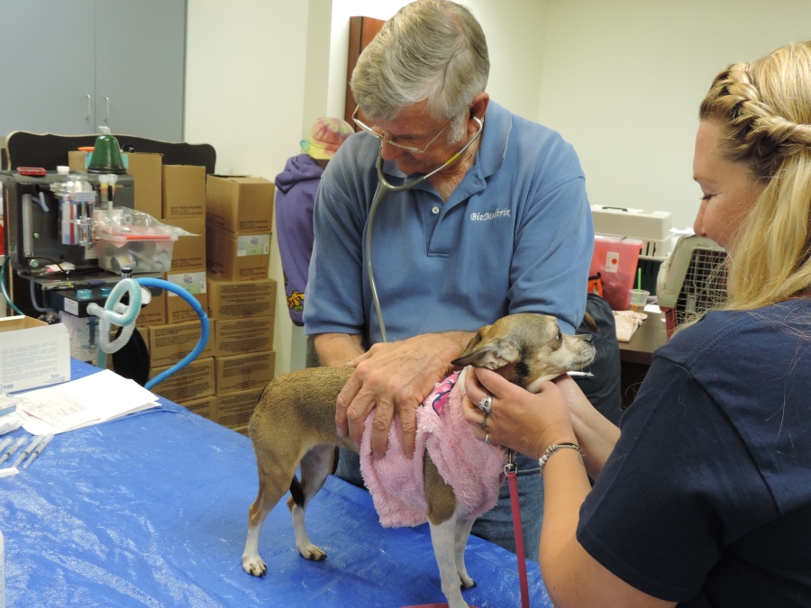 Pets of the Homeless, the only national nonprofit organization focused on feeding and providing emergency veterinary care to pets of homeless people, is looking to expand its national network of veterinarians to provide emergency veterinary care.