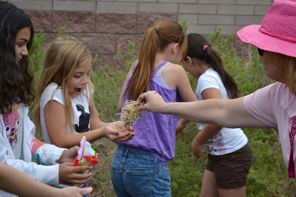 Providence Community to Host Going Green Earth Day Event