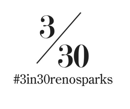 The Leadership Reno-Sparks Class of 2018 launched its community project called “3 in 30.”