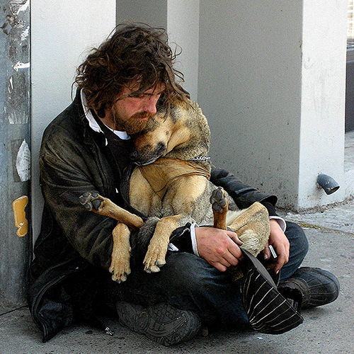 Pets of the Homeless Signature Photo