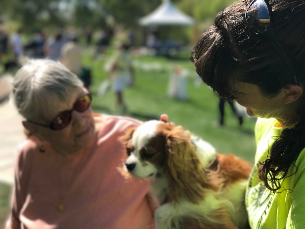 Ladies with dog small