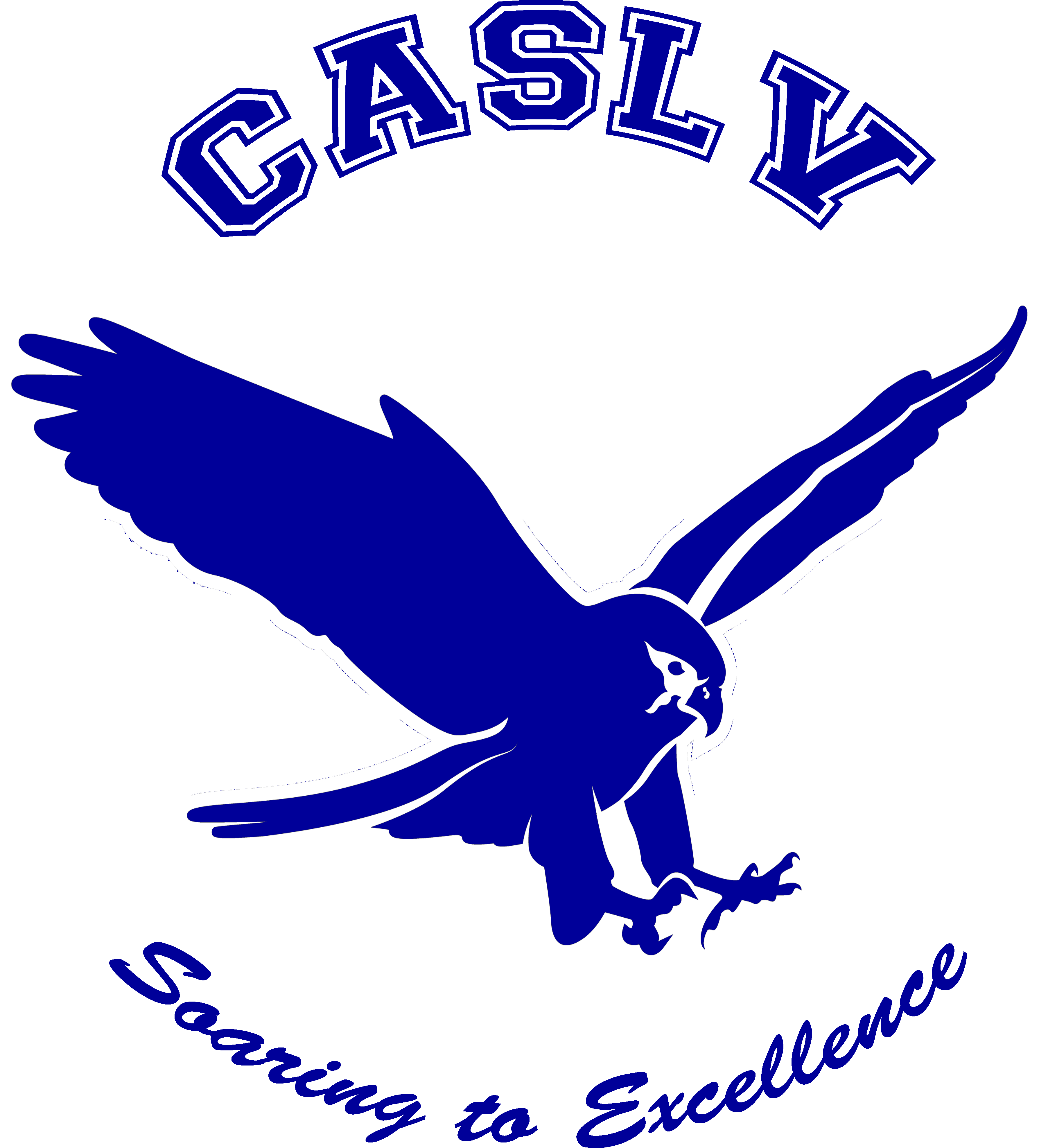 falcon logo BLUE w white outline_PNG-7bc7850c