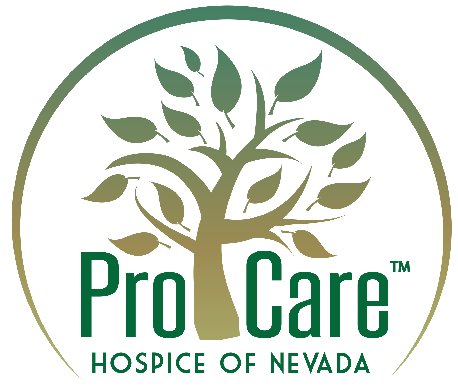 Procare Logo TM-1d770fd9