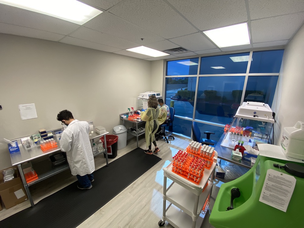 MDX Labs Henderson-65bcac63