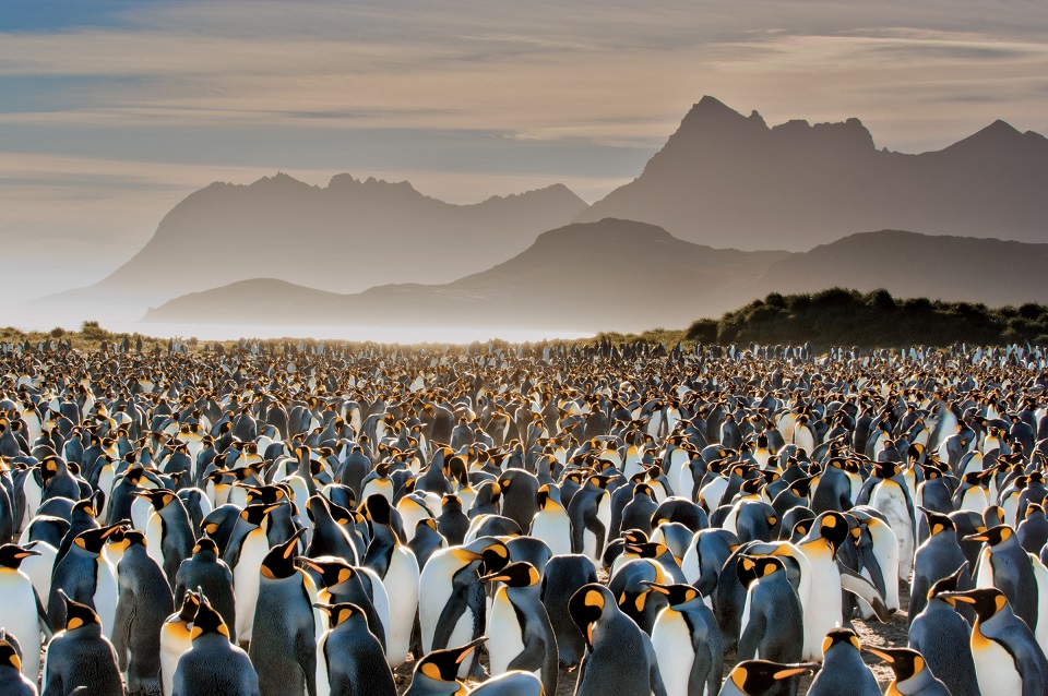 013_national_geographic_rarely_seen_p48-49_017519-sm-83f505ee