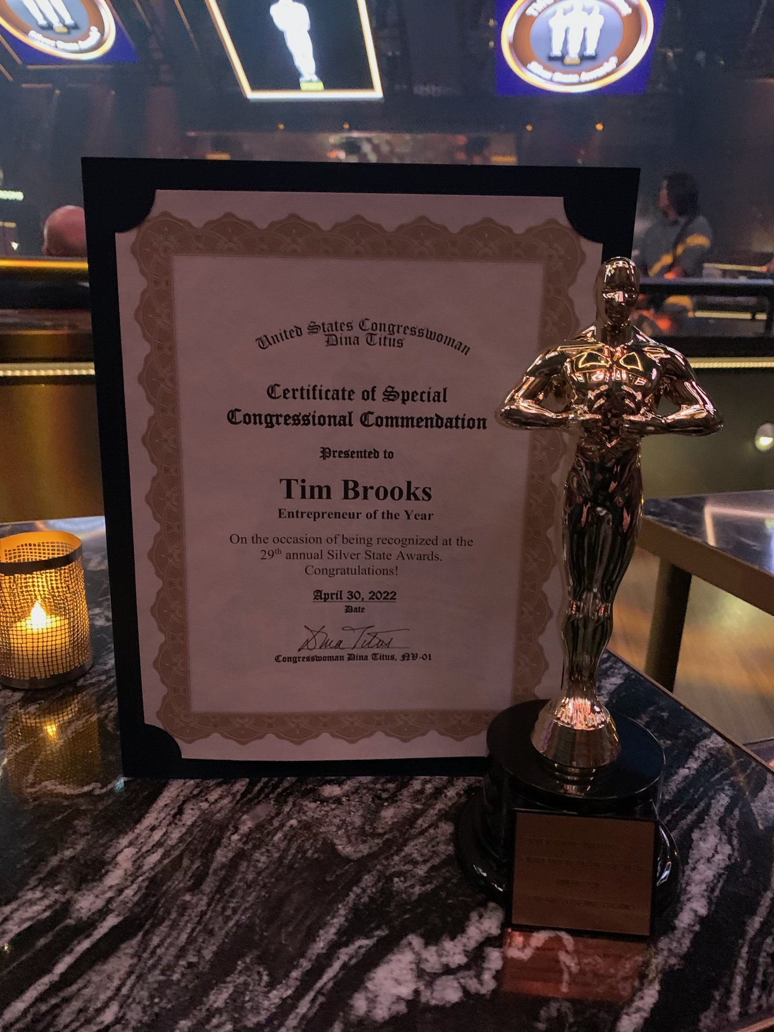 Tim Silver State Award-2dd21a9a