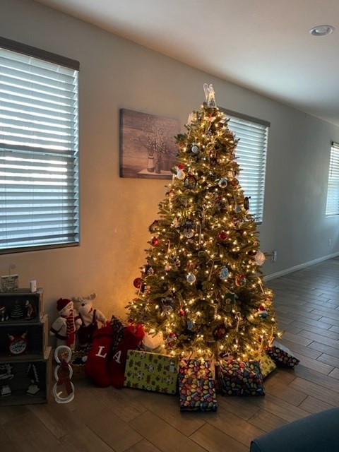 CAMCO shares  holiday safety tips
