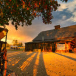 Twisting T-Bar Ranch