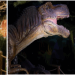 Dinosaur Outpost