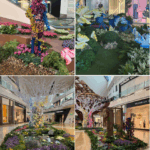 The Shops at Crystals