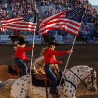 u1073-528_2024_doyle_reno
