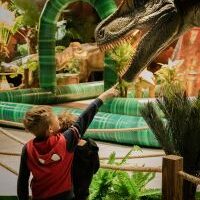 u5201-BigAl_Allosaurus_HollyChrisPhotography_DOf_-8632