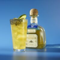 u5201-PerfectPatronWithBottle