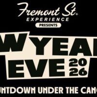 fse-nye