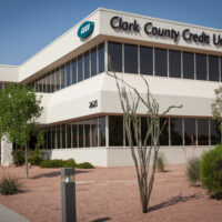 Tenaya-branch