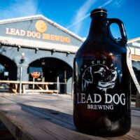 Lead-Dog