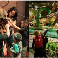 Spring-Break-at-Dinosaur-Outpost