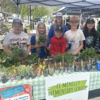 Green-Our-Planet