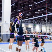 RSCVA-NCVA-2024-29