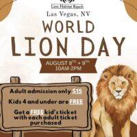 Lion Habitat Ranch Celebrates World Lion Day With Discounted Admission, Family Activities and Lion Experiences